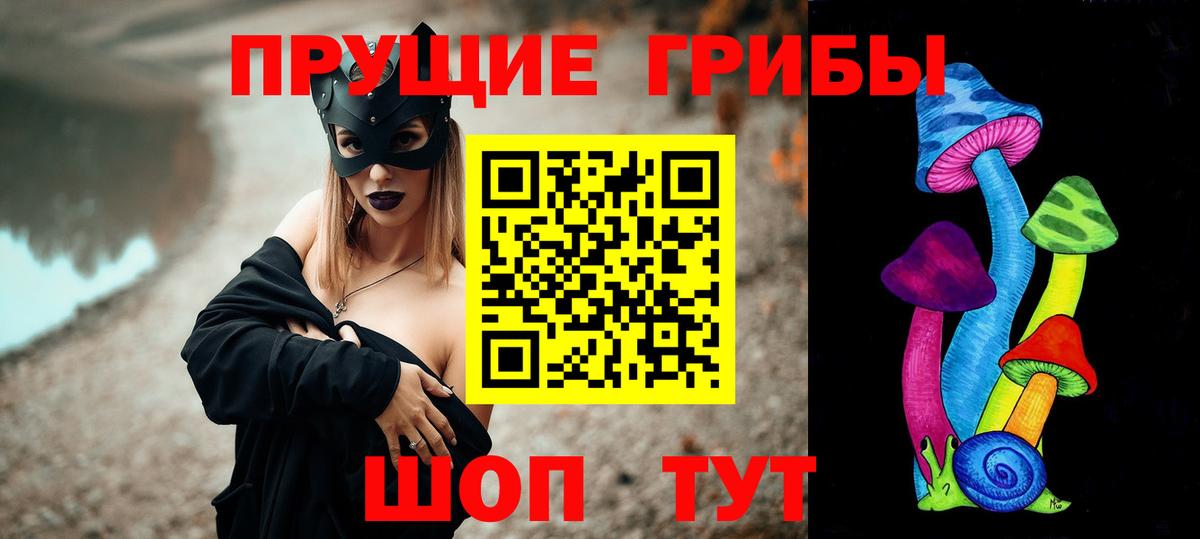 Горно-Алтайск  Псилоцибиновые грибы Cubensis  Вход с VPN 