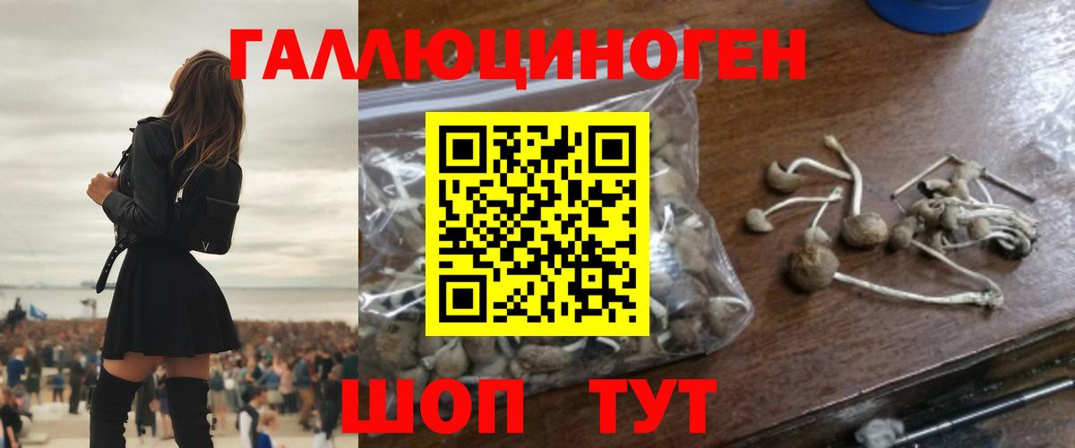 Псилоцибиновые грибы Magic Shrooms Горно-Алтайск